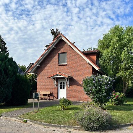 Ferien_Haus Seeoase Goehren-Lebbin Ngoại thất bức ảnh